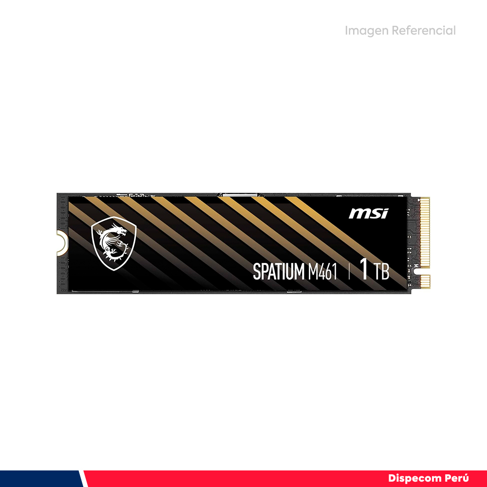 SPATIUM M461 1TB