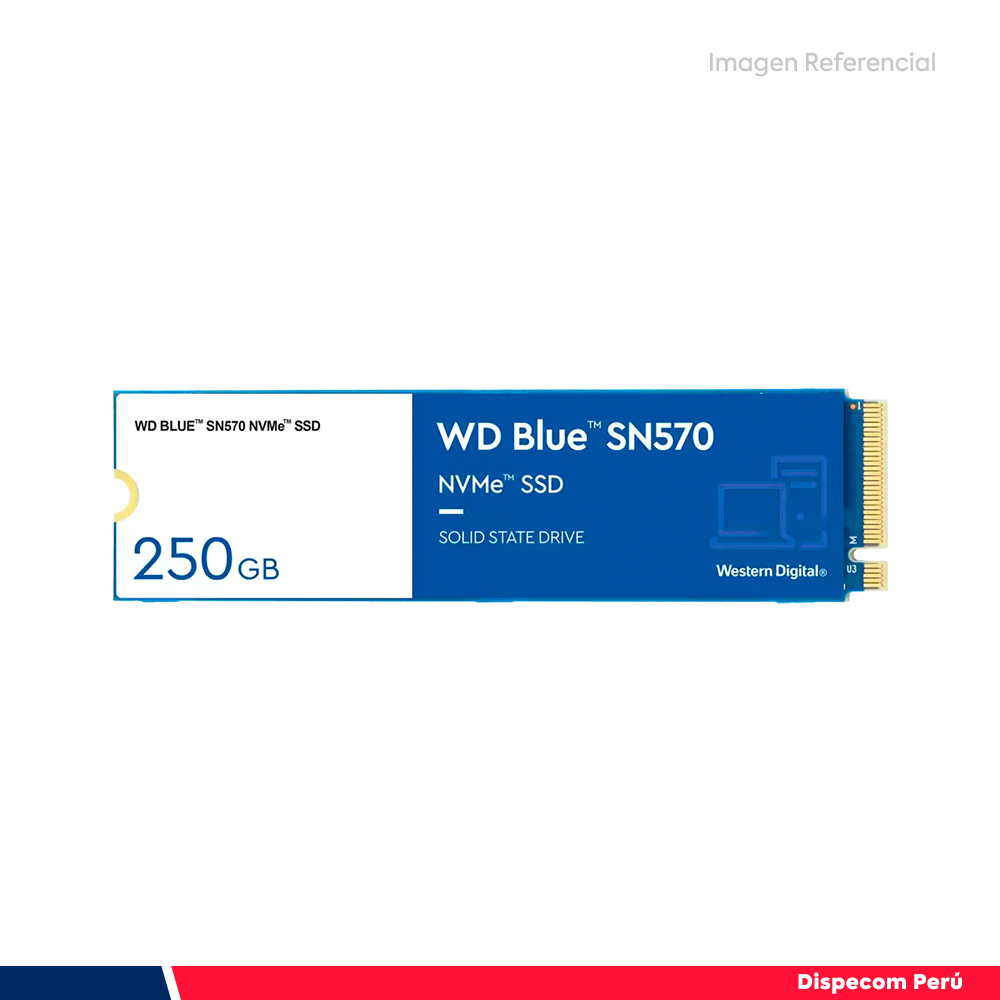 WDS250G3B0C