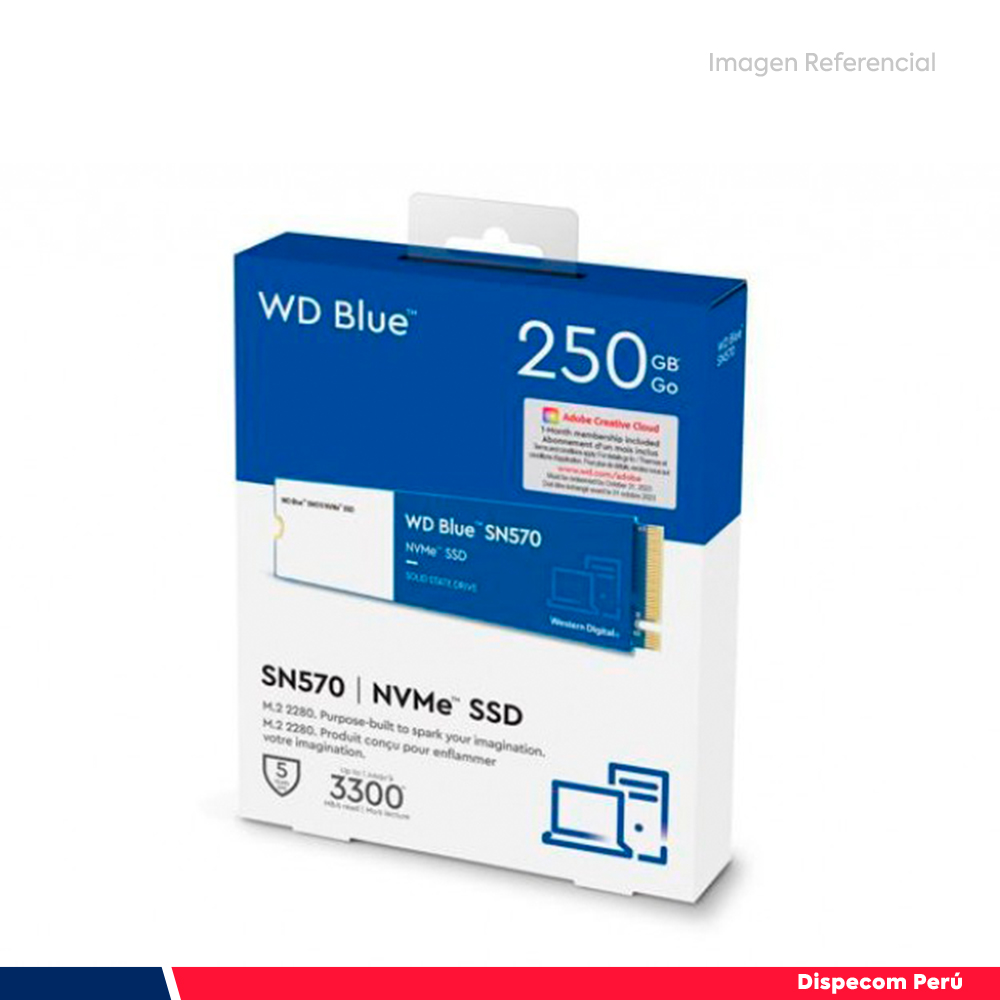 WDS250G3B0C