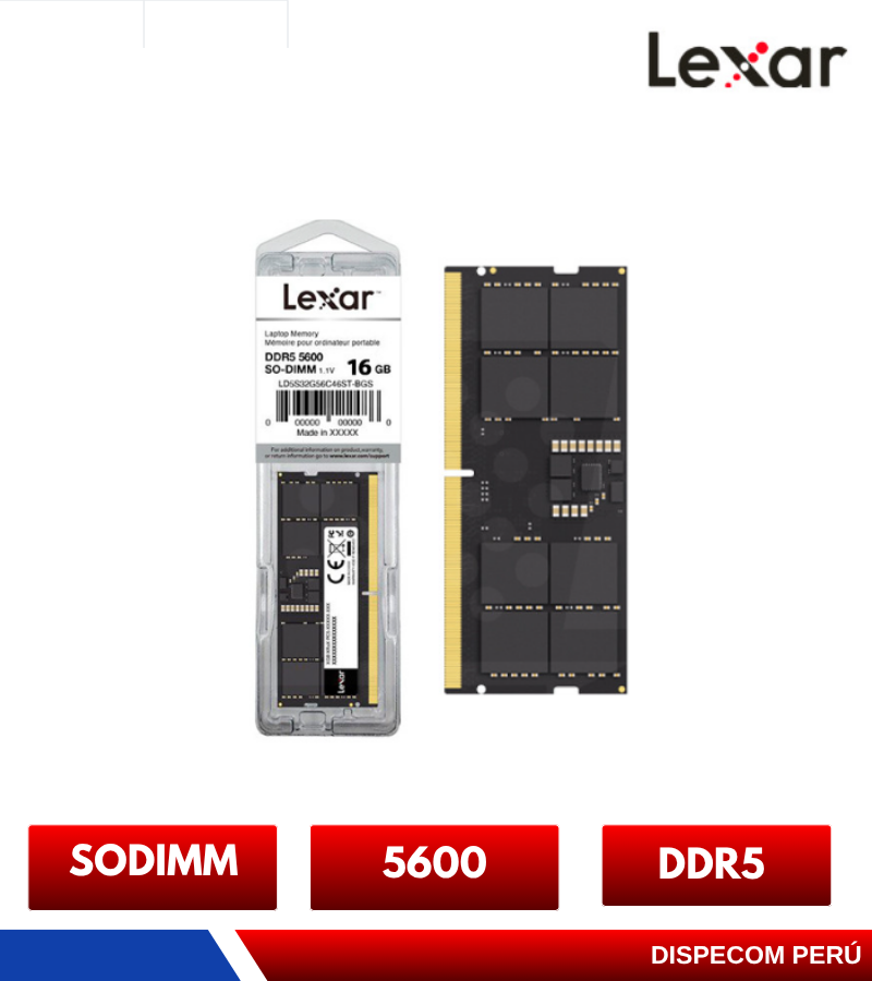 ddR55600